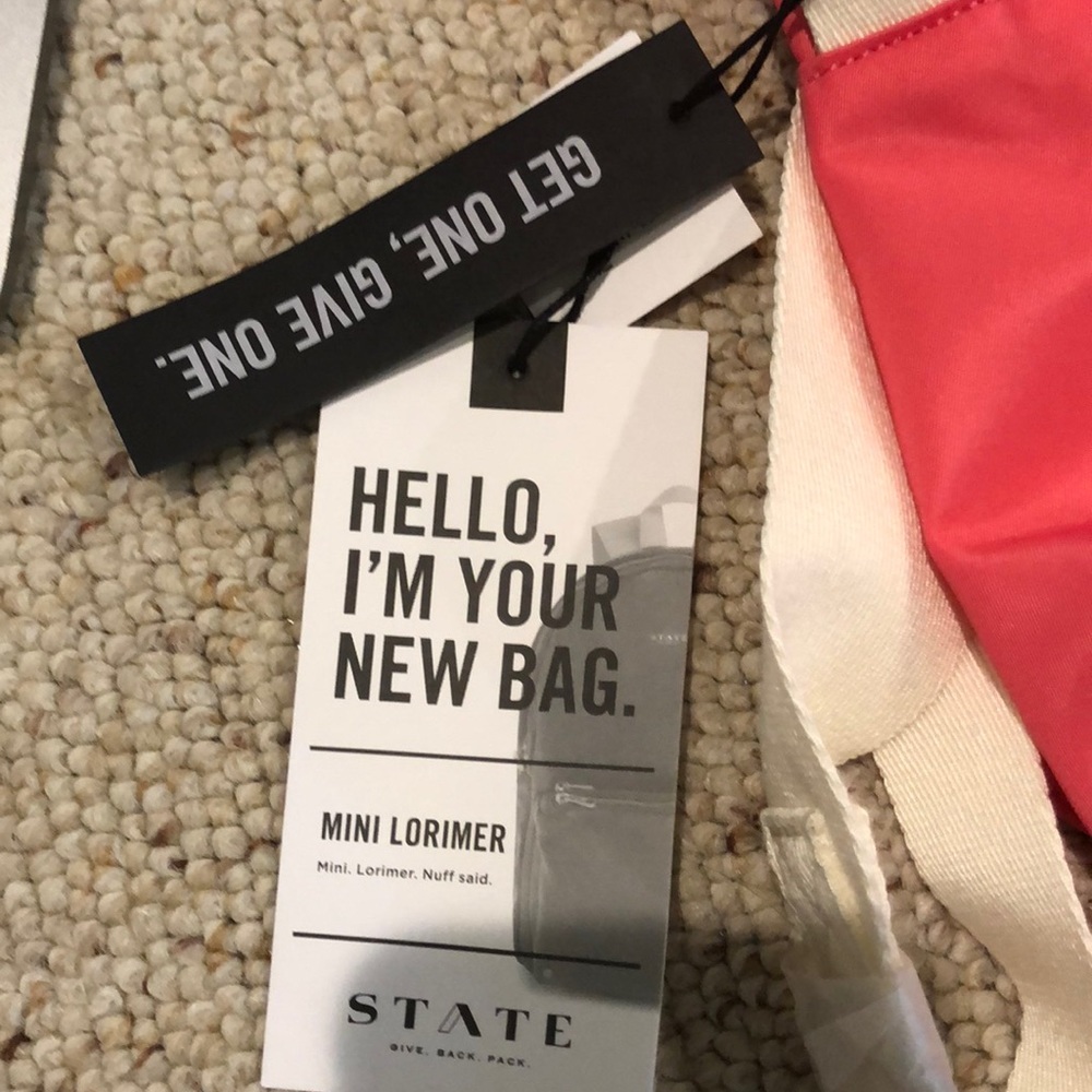 Pink mini Lorimer state bag - Picture 3 of 3